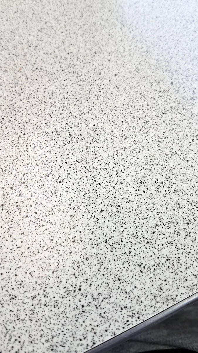 Hungry Jack's Burgers Mermaid Waters-2